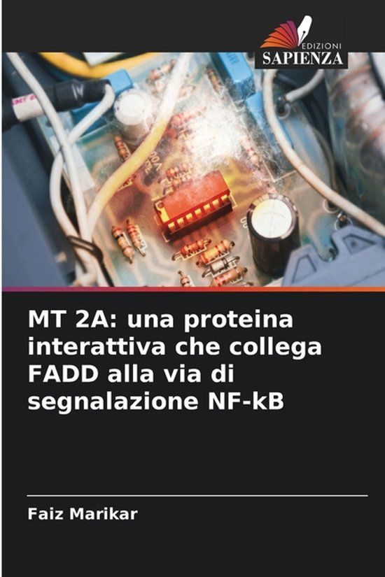 MT OmniScriptum SRL MT 2a Paperback