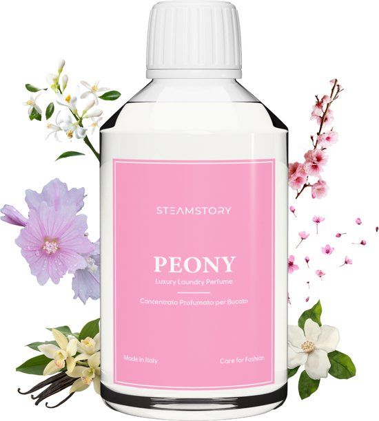 STEAMSTORY S10 PRO Kledingstomer - Hand Stomer - 1600W - Wit