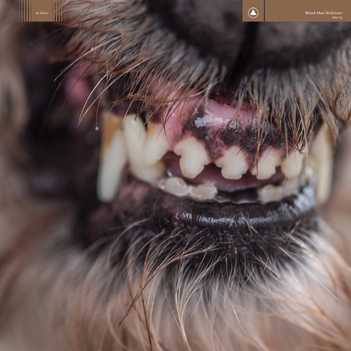 Konkurrent Blanck Mass - World Eater (Red Splatter Vinyl)