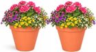 Mega Collections Pot de fleurs / pot de plantes - 2x - plastique - orange - intérieur/extérieur - D20 x H17 cm