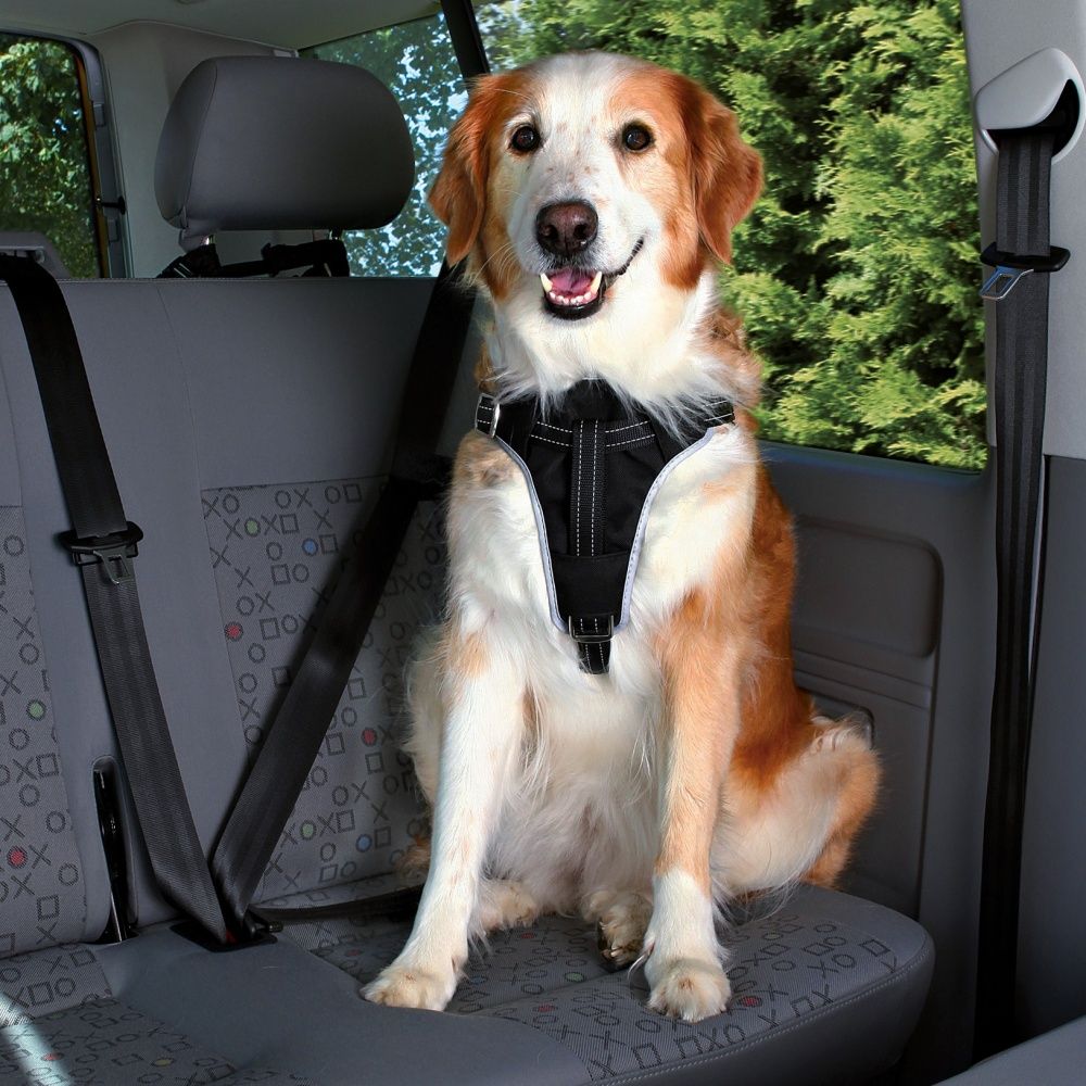 TRIXIE Dog Protect Car Harness - Zwart - 65-80x2,5 cm