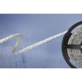 Barthelme 51540831 LED-strip Met open kabeleinde 24 V 5 m RGB 1 stuk(s)