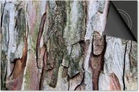 Dietrix Inductie beschermer 65x52 - Hout en Boom - Schors klimboom Dietrix