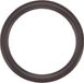 SW-Stahl Kalitec SW staal S3279-7 O-ring 19,8x2,4
