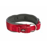Trixie Premium hondenhalsband, grafietrood, M/L, 40-48 cm