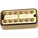DiMarzio DP 291GCR New’Tron™ Neck Gold Cover, Cream Insert