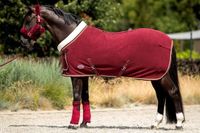 HB showtime HB Polar 400 Dutch Crown Showdeken Paard Burgundy 185