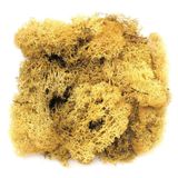 Glorex Hobby Decoratie nep mos 50 gram - 3x - geel - Hobby/knutselen - herfst/kerst thema - opvullen - decoreren - nature