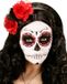 Finidi Halloween haarbandje met zwarte rode rozen