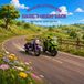 Hazel's The Hazel Adventures Hazel's Great Race Paperback
