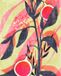 Komar Fotobehang - Bonbons aux Fruits 200x250cm - Vliesbehang