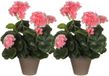 Mica Decorations Plante artificielle - 2x - géranium - pêche - en pot - 34 cm