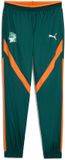 PUMA Prematch trainingsbroek Côte d'Ivoire CAN 2025 Groen Maat S