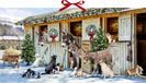 Wand-Adventskalender Coppenrath Wand-Adventskalender - Weihnacht bei den Tieren im Stall