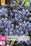Jub Holland Scilla siberica - maat 7/8 - 50 stuks