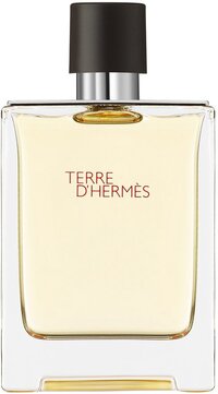 Hermès / Terre d Eau de toilette / 100 ml / heren