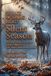 Silent Season: Decoding Whitetail Strategies and Deer Behavior: A 90-Session Bowhunting Manual