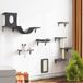 Merkloos / Sans marque Shenzhen Haorui Industrial Technology Co., Ltd. Klimwand voor Katten - XXL, 6 Elementen met Kattenboom, Hangmat, Mand, Brug, Krabplank en Paal