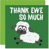 Dank U Kaarten - Dank Ewe - Grappige Bedankt Kaarten voor Leraar Haar of Hij, Humoristische Leraar Waardering Kaart, 145mm x 145mm Grap Banter Dank U Wenskaarten voor Leraren Geschenken