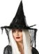 Atosa Halloween heksenhoed - met sluier - one size - zwart - meisjes/dames - verkleed hoeden