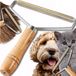 Top Gift Sp. z o.o. Sp. Komandytowa MARTOM Meble Tapicerowane Kleding Scheerapparaat & Verfroller voor Truien en Meubels