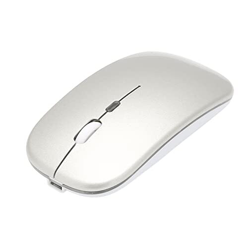 Pasamer 2.4G draadloze muis Draadloze gamingmuis met achtergrondverlichting voor desktoplaptops