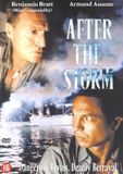 After Bertus After The Storm / DVD / N.v.t. / N.v.t.