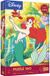 Trefl Disney Princess De Kleine Zeemeermin Legpuzzel 40 Stukjes