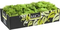 Mica Decorations Rendiermos - 500 gram - groen