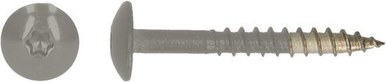 pgb-Europe PGB-FASTENERS HPL schroef Tx20 4,8x38 R7030 A4
