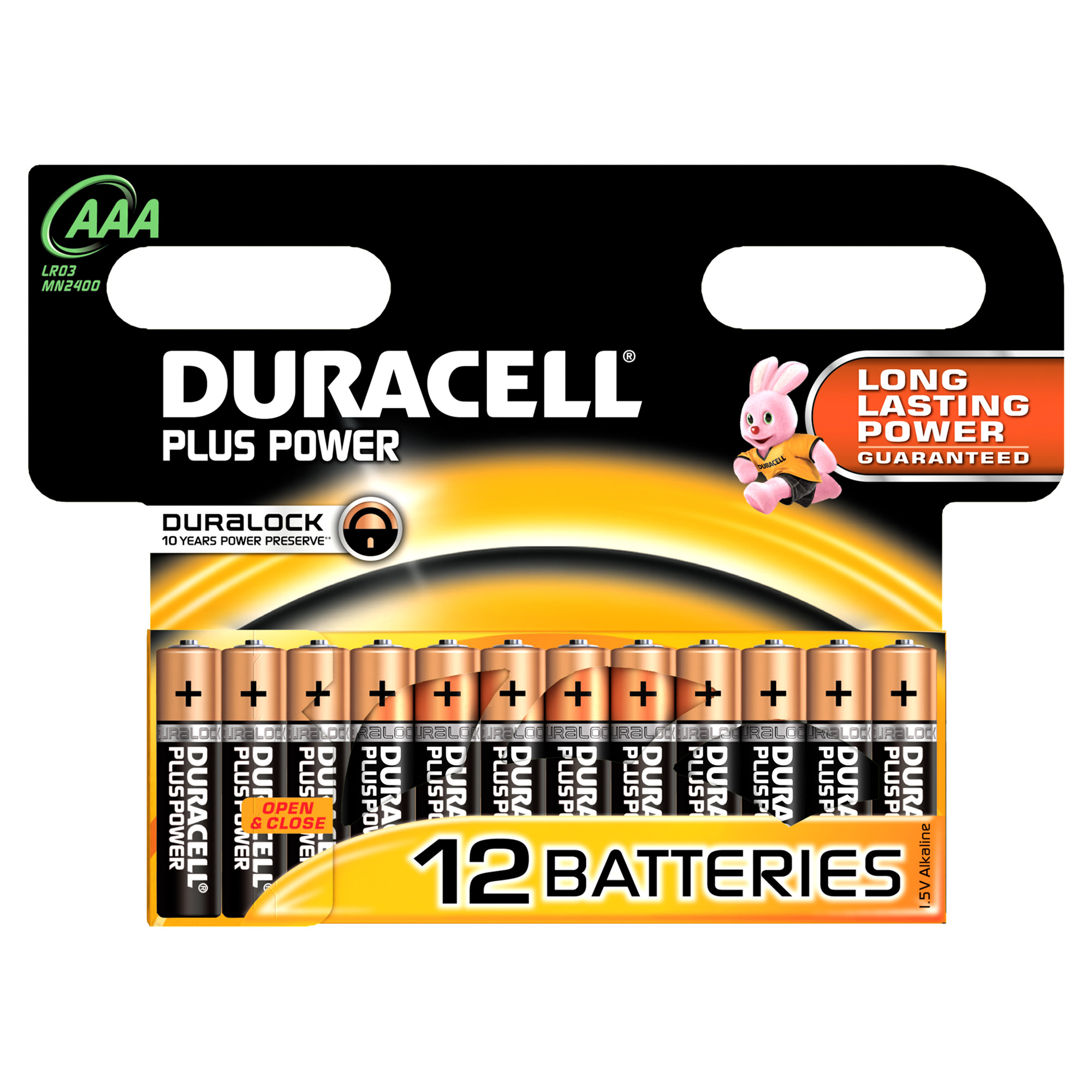 Duracell Plus Power