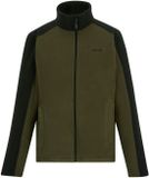 Regatta Fleece Heren Wandelen Hedman II Groen