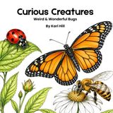 Curious Creatures: Weird & Wonderful Bugs