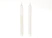 HBX Natural Living Natural Living Dinerkaarsen LED Wit - Set van 2 - Flikkerende Kaarsen