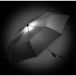 Parapluie de poche grande taille Skylight