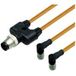 Pepperl+Fuchs 296504 Distributeur et adaptateur pour capteurs/actionneurs M12 x 1 0.3 m Nombre de pôles: 4, 4 1 pc(s)