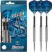 Harrows ASSASSIN Standard 80% tungsten 22 gram darts