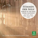 Warner Music Erato Disques Stimmen Der Seelen: Voices of the Soul / Choral Meditation