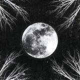Rock Inc Pale Moon
