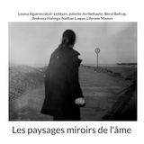 Les BoD Les paysages miroirs de l'âme Paperback