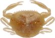 Berkley Gulp! Saltwater Peeler Crab - 5cm - Amber Glow