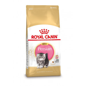 Royal Canin Breed Kitten Persian kattenvoer 10 kg