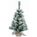 Everlands Finley Kunst kerstboom - klein - besneeuwd - 60 cm - D36 cm - kunstboom - miniboom - sneeuw