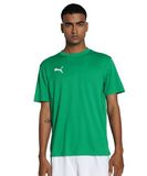 PUMA teamGOAL Jersey Heren Sportshirt - Groen