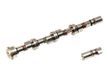 Camshaft Icecat Camshaft