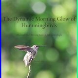 The Hummingbirds The Dynamic Morning Glow of Hummingbirds: Observed After Morning Rain in Soft Green Light