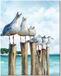 Peinture par numéro animaux mouette, peinture par numéro