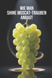 Wie Independently Published Wie man Shine Muscat-Trauben anbaut