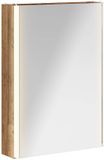 vidaXL Badkamerspiegelkast Oudhout 43 x 11,5 x 60,5 cm Bewerkt hout