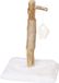 Animal Boulevard Krabpaal Alaska met Speelgoed Wit Plush - 40x40x64cm